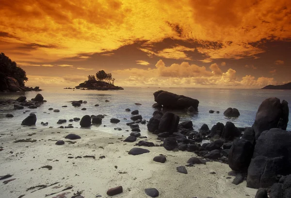 Strand aan de kust van het eiland La Digue — Stockfoto