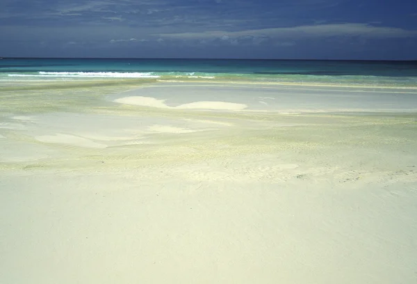 沙滩海岸的岛屿普拉兰 — 图库照片