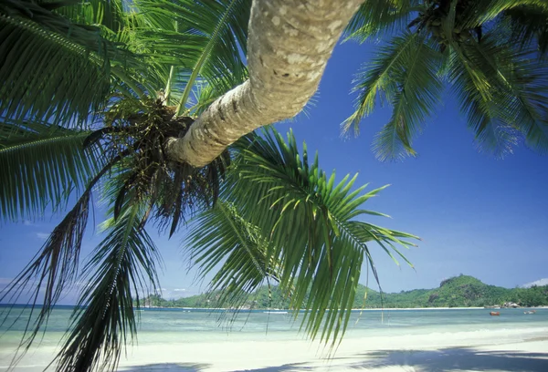 Stranden vid kusten om ön La Digue — Stockfoto