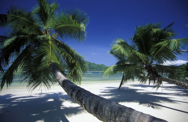 Praia na costa da Ilha Mahe — Fotografia de Stock