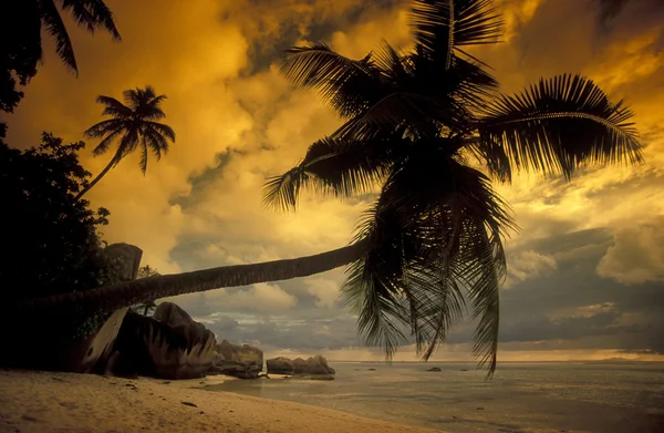 Beach on the coast of the Island Mahe — Stock Photo, Image