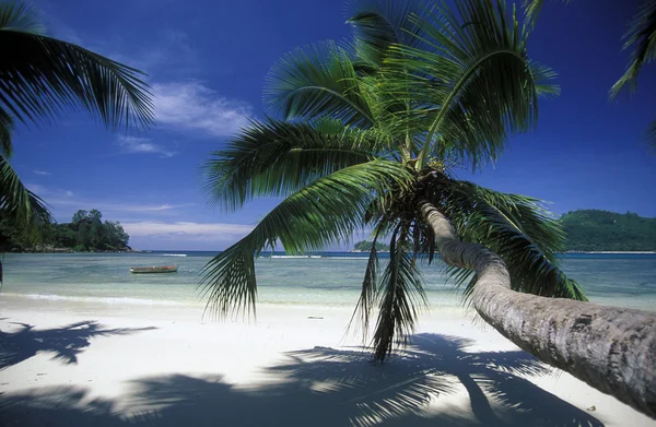 Stranden vid kusten av ön Mahe — Stockfoto