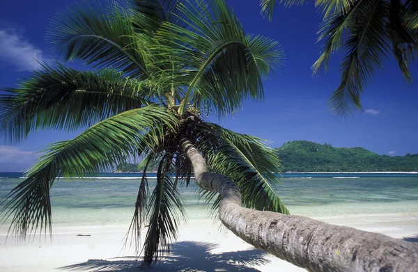 Пляжі на узбережжі острів Махе — стокове фото