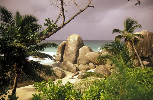 Spiaggia sulla costa dell'isola Mahe — Foto Stock