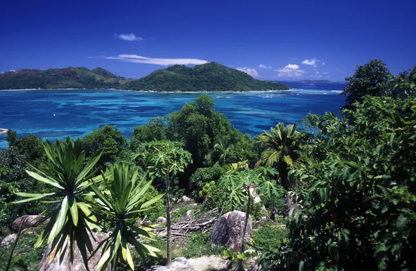 Spiaggia sulla costa dell'isola Mahe — Foto Stock