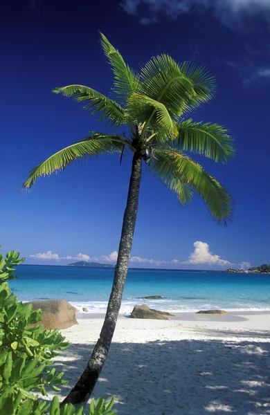 Spiaggia sulla costa dell'isola Mahe — Foto Stock