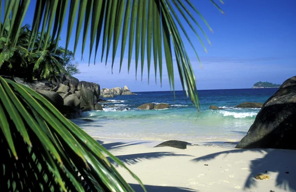 Playa en la costa de la Isla Mahe — Foto de Stock