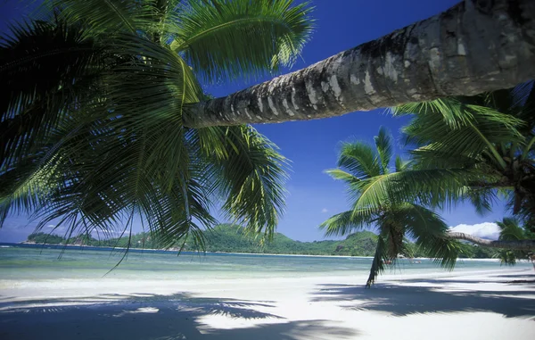 Playa en la costa de la Isla Mahe — Foto de Stock