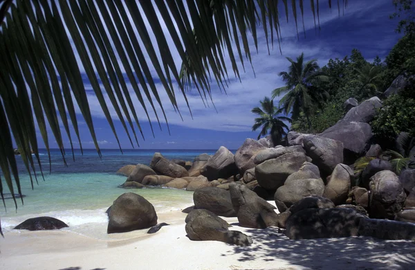 Playa en la costa de la Isla Mahe — Foto de Stock