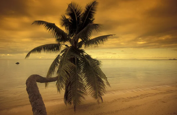 Beach on the coast of the Island Mahe — Stock Photo, Image