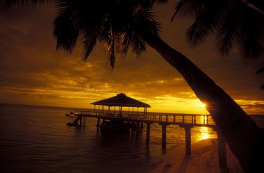 Plaj kıyısında ada Mahe