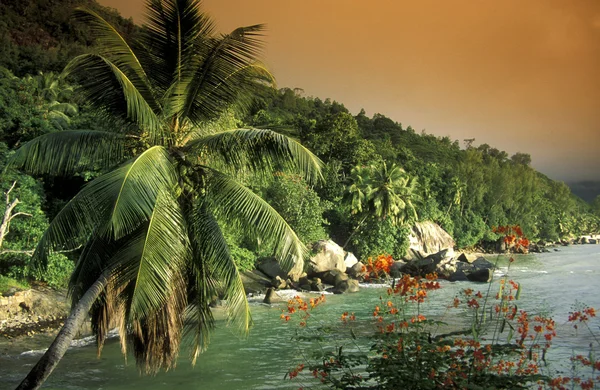 Playa en la costa de la Isla Mahe — Foto de Stock