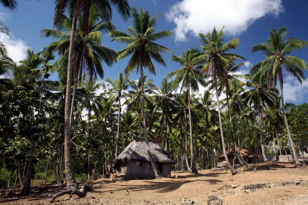 Traditional huts at East Timor — Stock Photo, Image