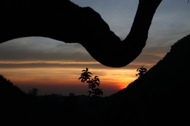 Asya Doğu Timor Timor Leste Moubisse manzara