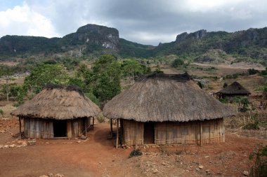 traditional huts at East Timor clipart