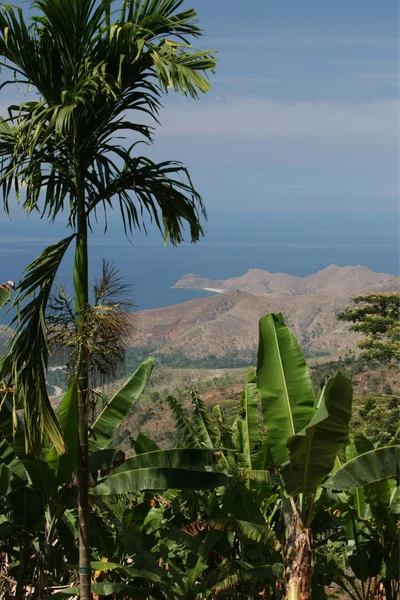 A village near the city of Dili — Stock Photo, Image