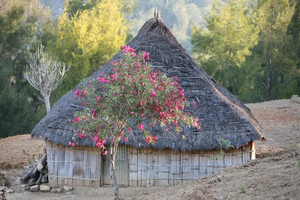 Paisaje con casas tradicionales — Foto de Stock