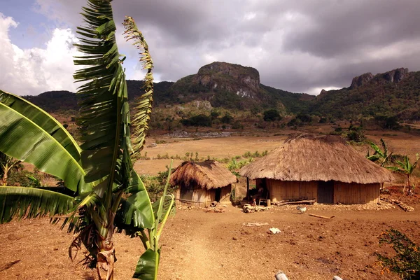 Traditionella hyddor på Östtimor — Stockfoto