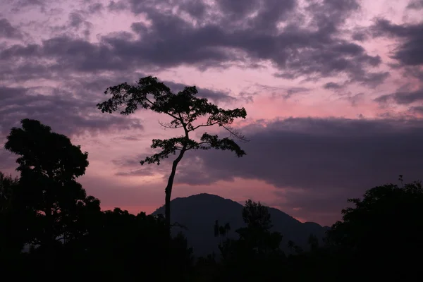 Asie Východní Timor Timor Leste Moubisse krajina — Stock fotografie