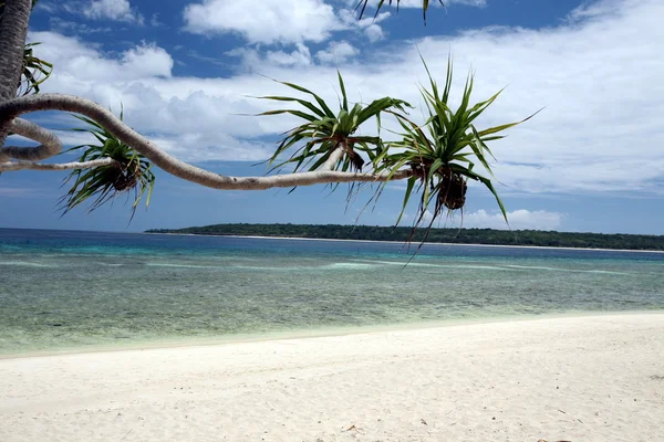 Traumstrand auf der Jaco-Insel — Stockfoto