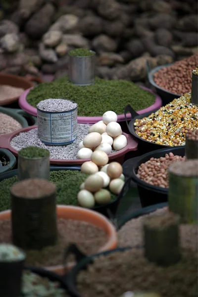 Mais und Bohnen auf dem Markt — Stockfoto