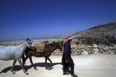 Atları ile Arap çiftçi 