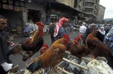 Pazar veya souq Mağazalar