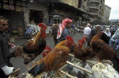 horoz marketstreet, bakıyorsun adam