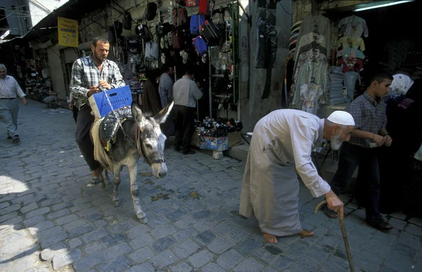 Man rider en åsna på marknaden — Stockfoto