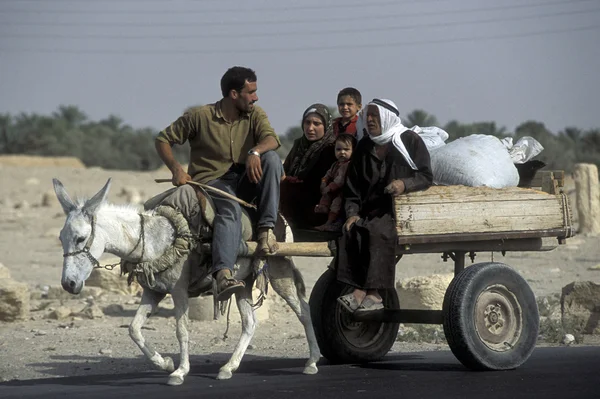 Persone vicino alla città di Palmira in Siria — Foto Stock