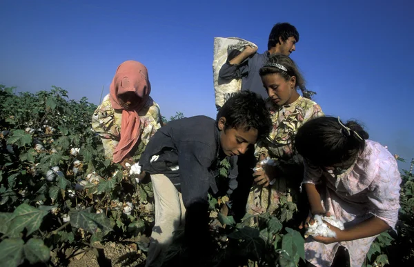 çocuk malzeme çekme pamuk