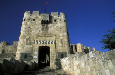 the Citadel in the old town in the city of Aleppo  clipart