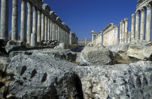 Ruinas de Apamea cerca de la ciudad de Hama —  Fotos de Stock