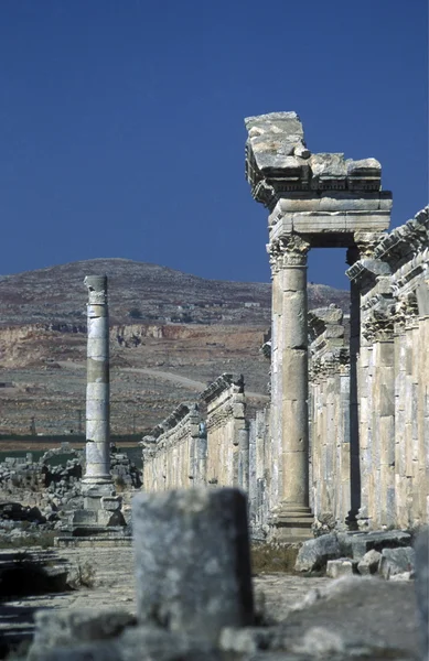 Ερείπια της Απάμειας κοντά την πόλη της Hama — Φωτογραφία Αρχείου