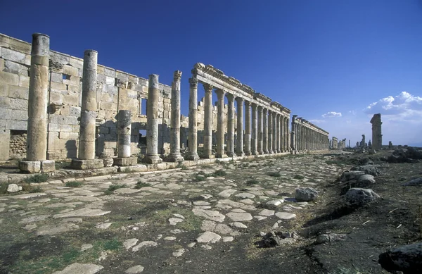 Руины Апамеи недалеко от города Хама — стоковое фото
