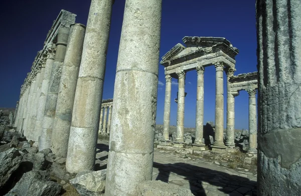 Ruinas de Apamea cerca de la ciudad de Hama —  Fotos de Stock