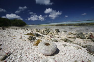 Los Roques Adaları