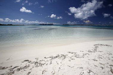 Los Roques Adası
