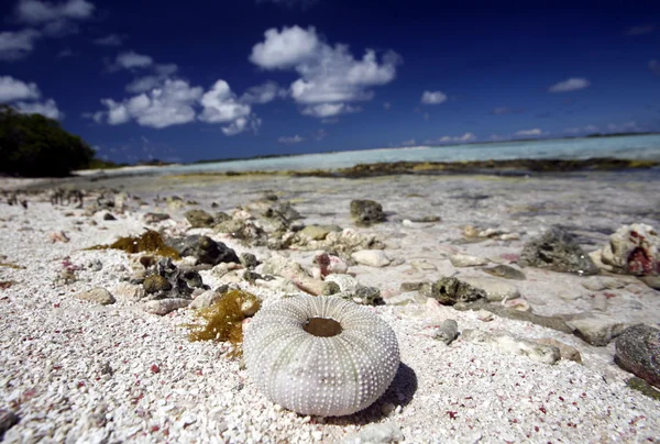 Los Roques Adaları — Stok fotoğraf