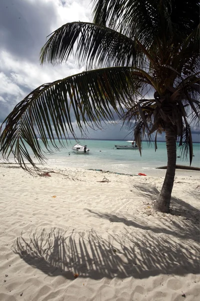 Los Roques ö — Stockfoto