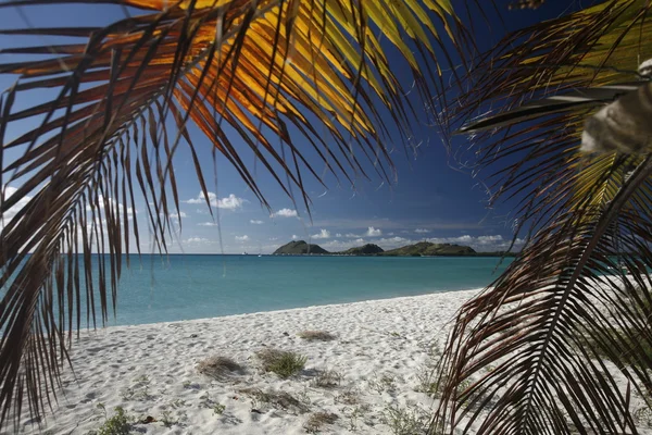 Los Roques Island — Stock Photo, Image