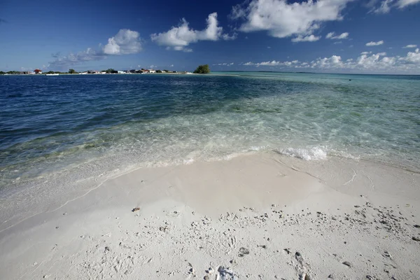 Los Roques острів — стокове фото