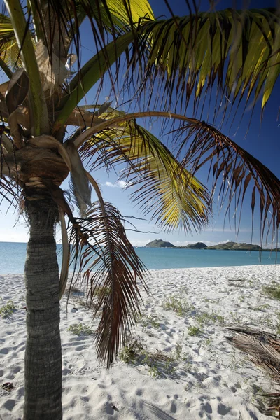 Los Roques Island — Stock Photo, Image