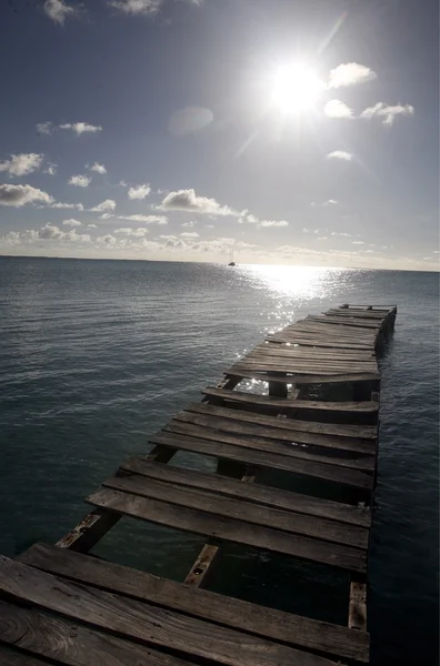 Güney Amerika Venezuela Los Roques iskele iskele — Stok fotoğraf