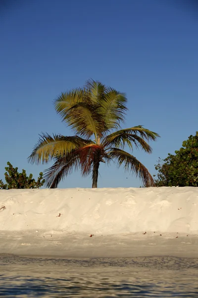 Isla de Los Roques — Foto de Stock