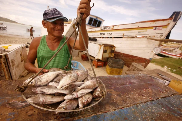 AMÉRICA DO SUL VENEZUELA ISLA MARGATITA MERCADO DE PESCA DE JUANGRIEGO — Fotografia de Stock