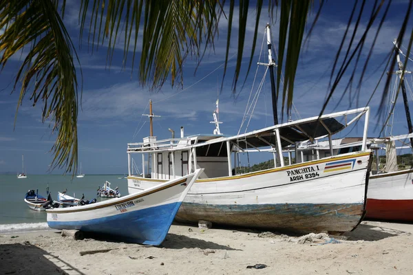 Sydamerika Venezuela Isla Margatita Juangriego Beacg — Stockfoto