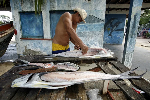 Mercado de pescado en la playa de la ciudad de Juangriego —  Fotos de Stock