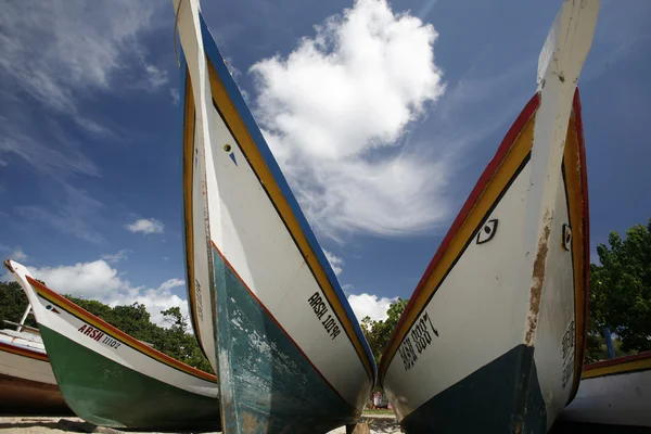 Zuid-Amerika Venezuela Isla Margatita Pedro Gonzalez Beach — Stockfoto