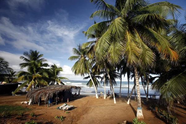 Südamerika venezuela isla margatita guacuco — Stockfoto